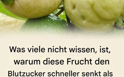 Entdecke die Kraft dieser wundersamen Frucht.