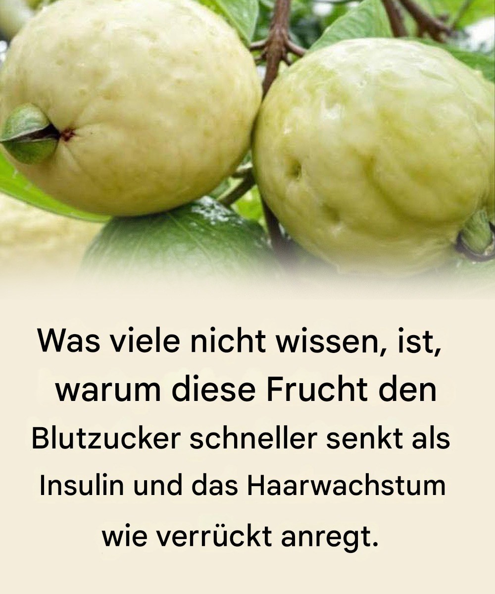 Entdecke die Kraft dieser wundersamen Frucht.