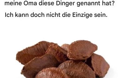Altmodisches Trockenfleisch (Jerky-Art)