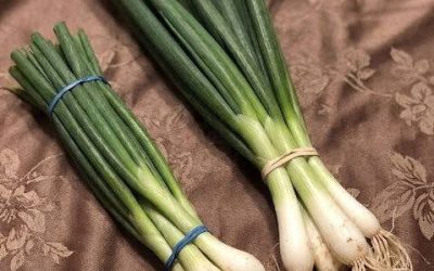Der Unterschied zwischen Frühlingszwiebeln, Lauchzwiebeln und Schnittlauch erklärt