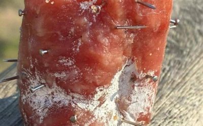 An mehreren Stränden in Anglet wurden Fleischstücke mit Nägeln gefunden.