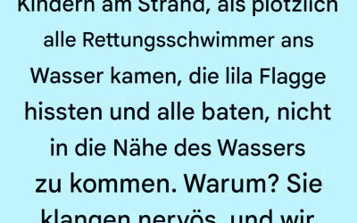 Die lila Flagge am Strand: Was sie wirklich bedeutet (und warum Sie darauf achten sollten)