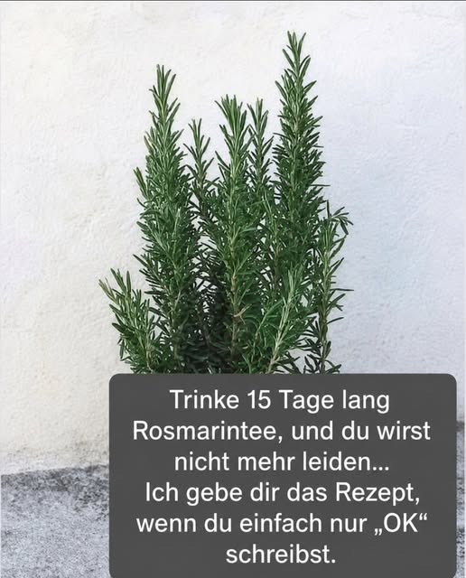 Ein altes Hausmittel erlebt sein Comeback