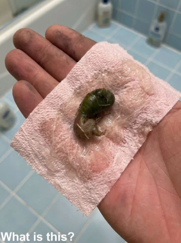 Eine mysteriöse Entdeckung auf unserem Badezimmerboden ließ uns nach Antworten suchen.