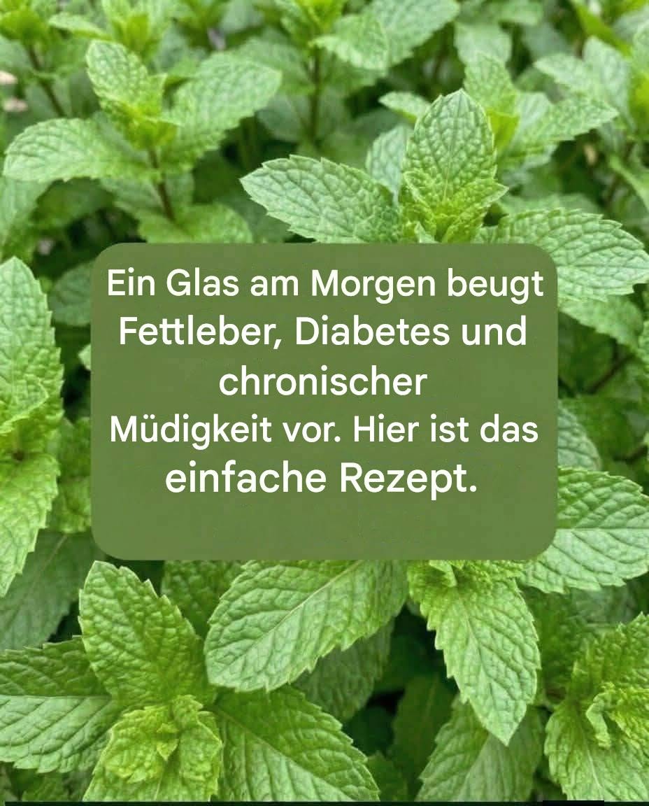Pfefferminzsaft mit Zitrone: Vorteile, medizinische Anwendung und richtige Zubereitung