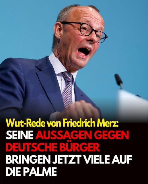 Kanzler Merz schießt gegen deutsche Staatsbürger