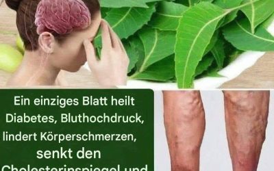 Entdecken Sie die Kraft des Blattes, die Ihre Gesundheit verändern wird!