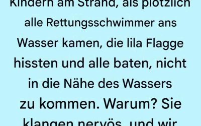 Die lila Flagge am Strand: Was sie wirklich bedeutet (und warum Sie darauf achten sollten)