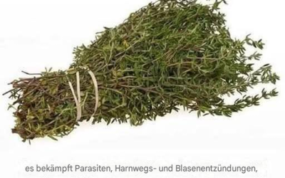 DAS WIRKSAMSTE KRÄUTER ZERSTÖRT PARASITEN, HARNWEGS- UND BLASENINFEKTIONEN, HERPES- UND GRIPPEVIREN
