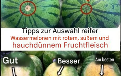 Wie man die perfekte Wassermelone auswählt