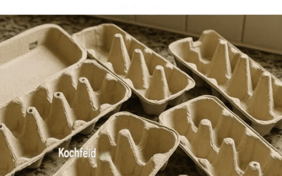 Werfen Sie keine alten Eierkartons mehr weg! Hier sind 10 clevere Tricks, wie Sie sie zu Hause wiederverwenden können.