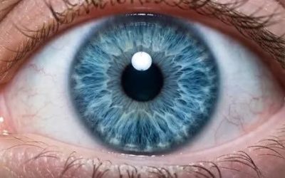 Alle Menschen mit blauen Augen haben dies gemeinsam.