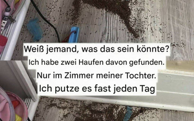 Weiß jemand, was das sein könnte? Ich habe zwei Haufen davon im Zimmer meiner Tochter gefunden.