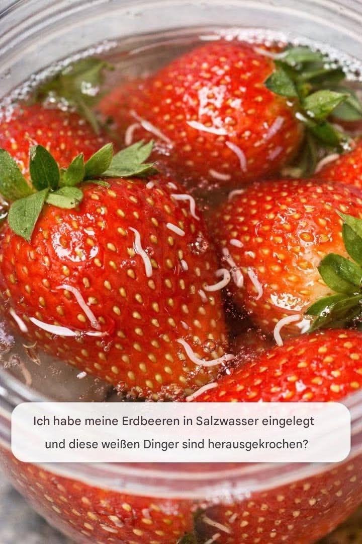 Ich habe meine Erdbeeren in Salzwasser eingelegt und diese weißen Dinger sind herausgekrochen?