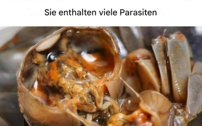 „Ärzte warnen: Verzehr dieser 4 Lebensmittel ab sofort einschränken, sie enthalten viele Parasiten“ – diese Meldung verbreitet sich online.