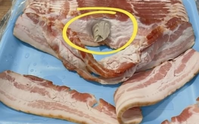 Ich ging in den Laden und kaufte mir Speck, den ich mit nach Hause nahm, um ihn zu essen.