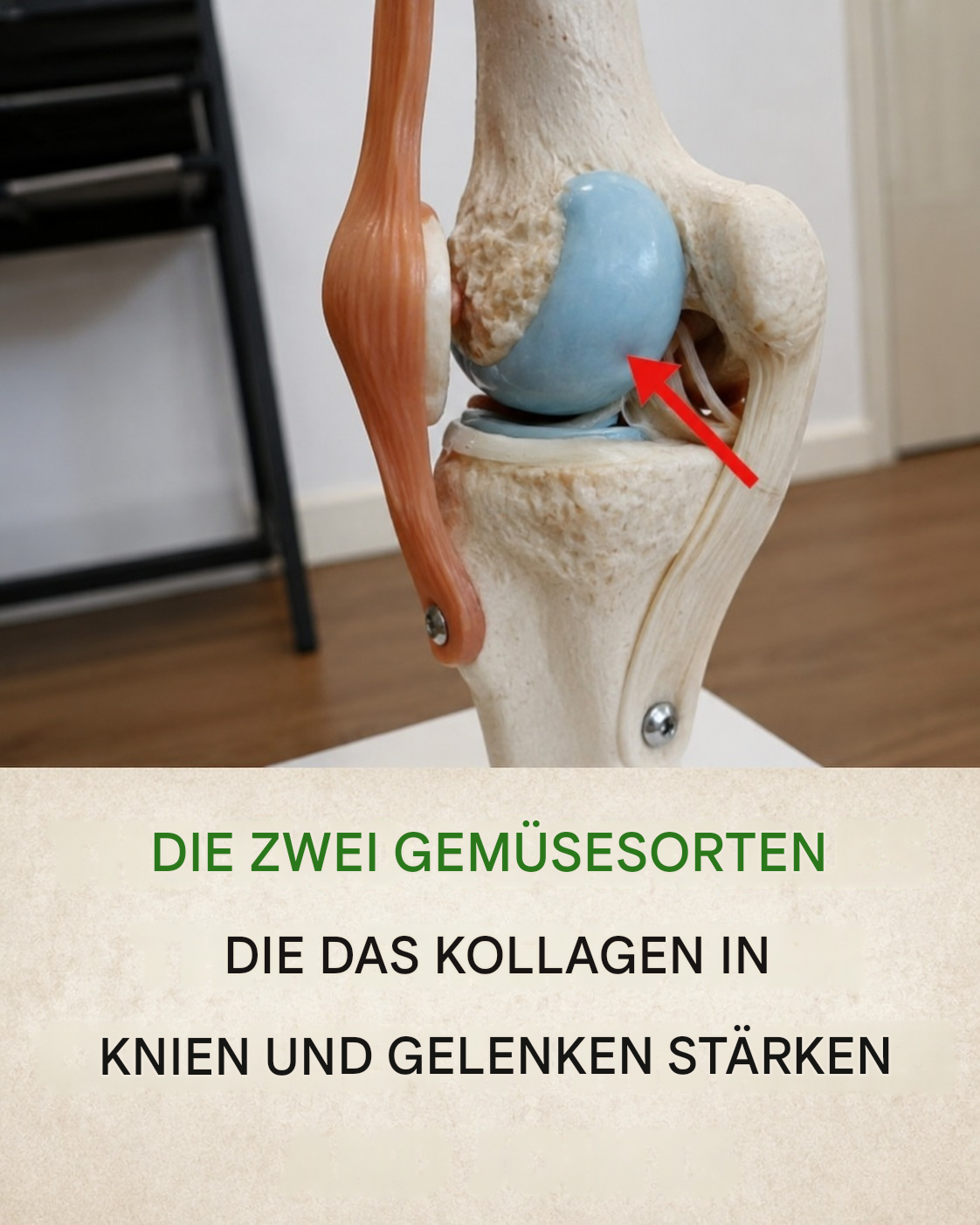 Ärzte sind überrascht: Zwei Gemüsesorten erhöhen die Kollagenproduktion in den Knien und lindern Gelenkschmerzen!
