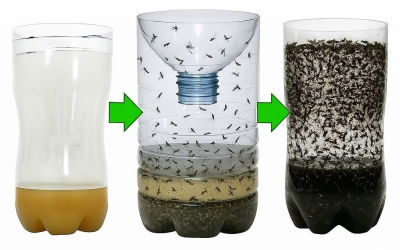 Selbstgemachte Mückenfalle – das einzige natürliche Mittel, das sie alle beseitigt (Vollständiges Rezept)