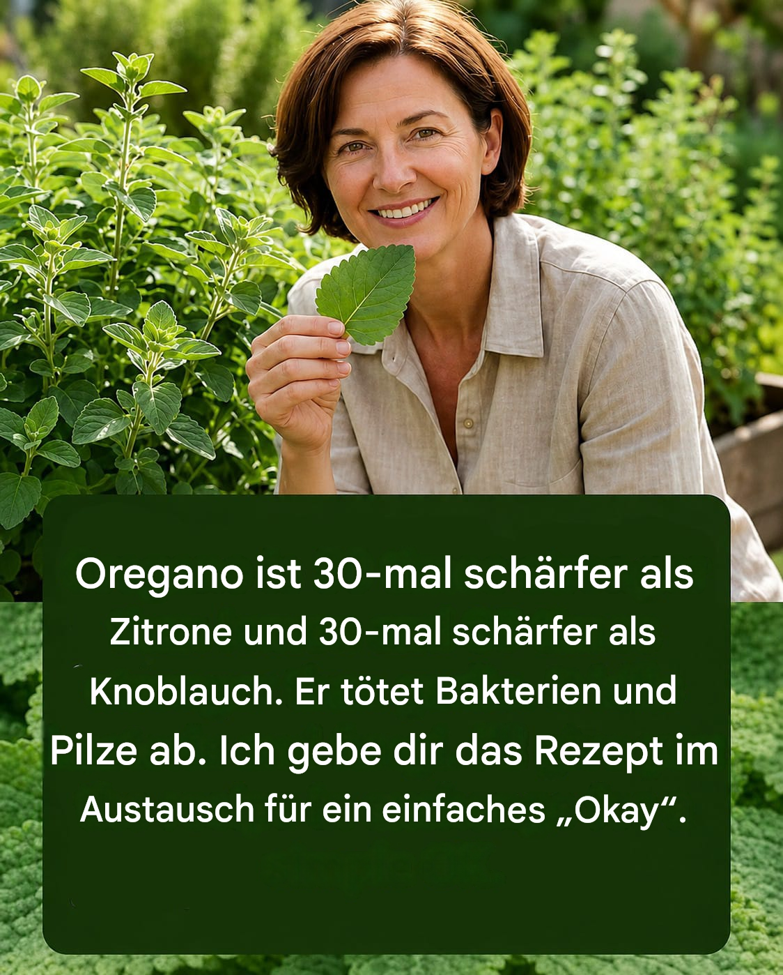 Oregano ist 30-mal schärfer als Zitrone und 30-mal schärfer als Knoblauch. Er tötet Bakterien und Pilze ab. Ich gebe dir das Rezept im Austausch für ein einfaches „Okay“.