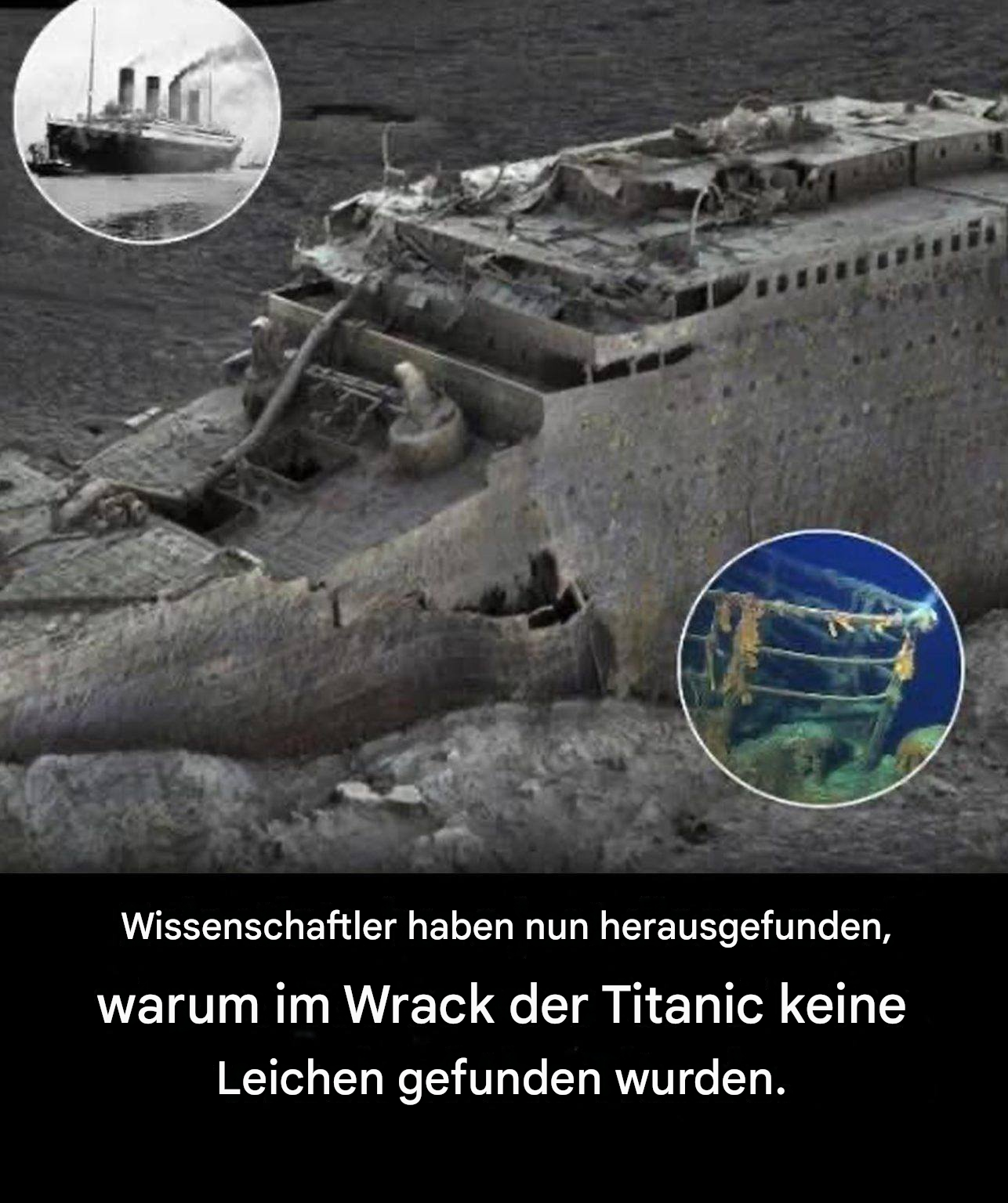 Warum wurden im Wrack der Titanic keine Leichen gefunden?