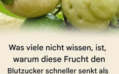 Entdecke die Kraft dieser wundersamen Frucht.