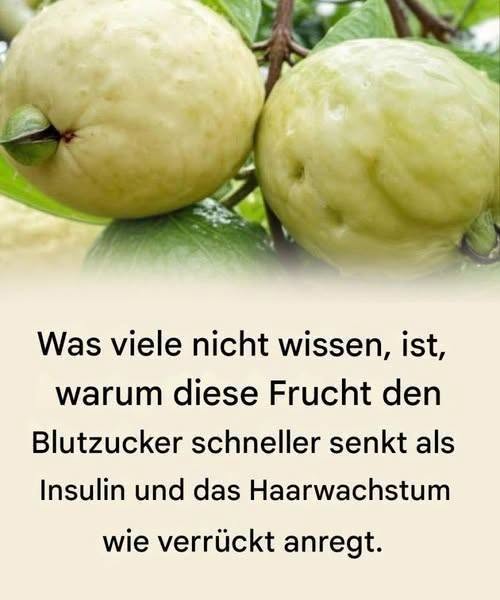 Entdecke die Kraft dieser wundersamen Frucht.