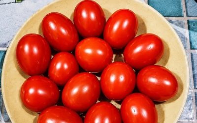 Augentest!! Zählen Sie die Tomaten. Sind es 12 oder 13???