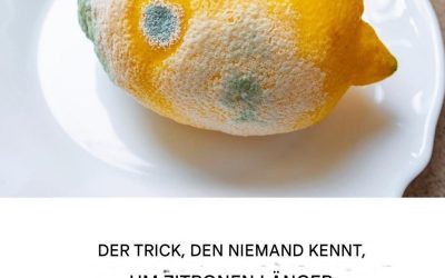 Wie lagert man Zitronen, damit sie länger frisch bleiben und Schimmelbildung verhindert wird?