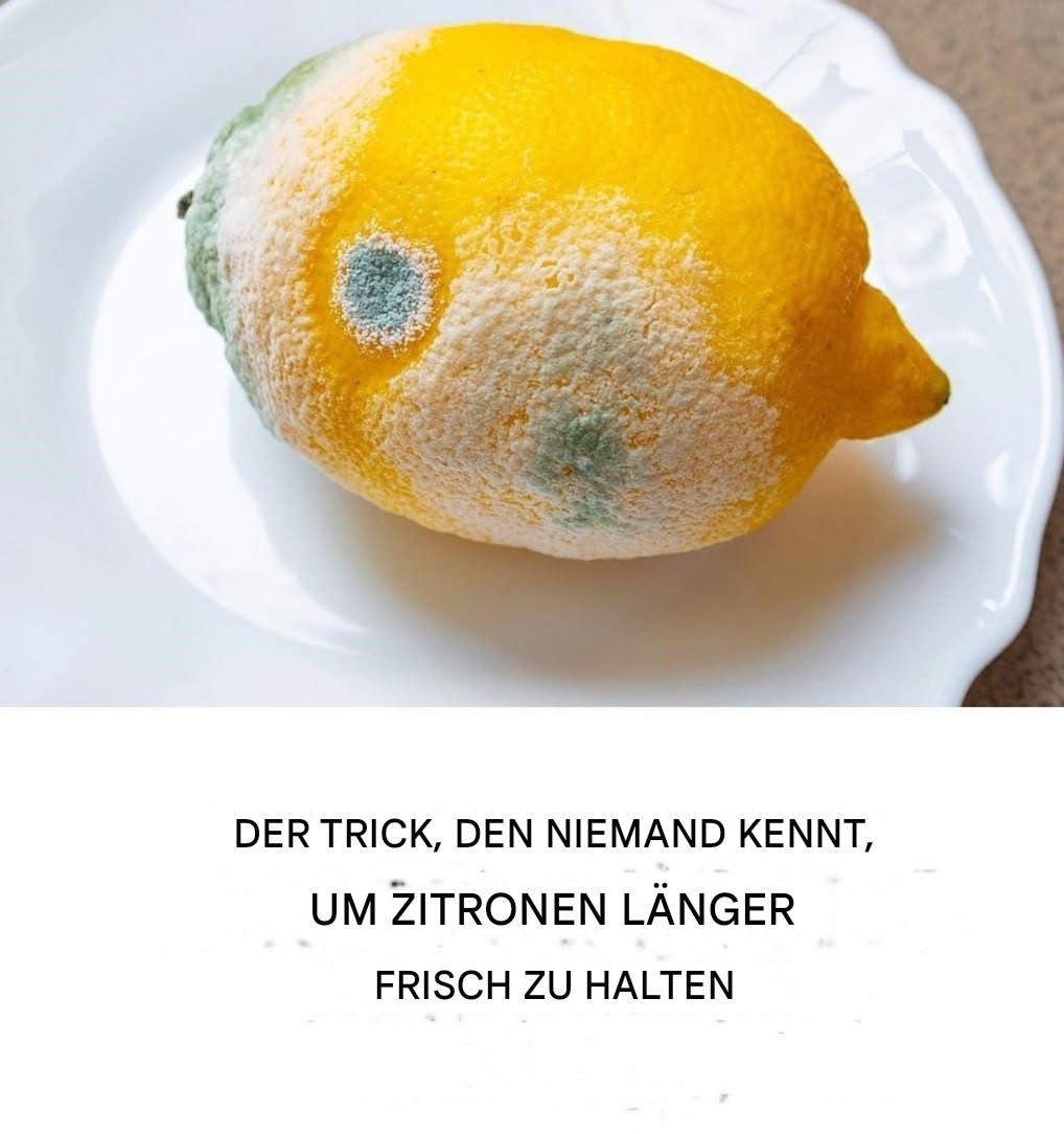 Wie lagert man Zitronen, damit sie länger frisch bleiben und Schimmelbildung verhindert wird?