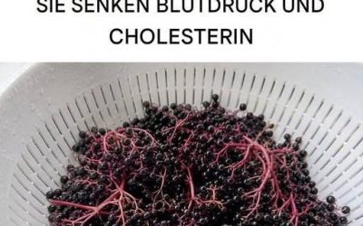 Alle Vorteile und Eigenschaften von Holunderbeeren