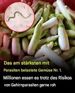 Das Gemüse, Das Am Ehesten Parasiten Trägt, Ist Auch Eine, Die Viele Menschen Lieben Es, Roh Zu Essen