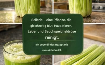 Entdecken Sie eine Pflanze, die bereits nach einer einzigen Dosis das Blut reinigt, die Haut regeneriert und Nieren, Leber und Bauchspeicheldrüse gründlich reinigt.