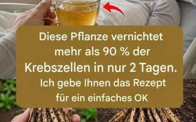 Diese Pflanze zerstört Krebszellen! Sie ist 100-mal wirksamer als eine Chemotherapie.