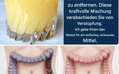 Erfrischende hausgemachte Limonade: Das perfekte Zitrusgetränk für jeden Anlass