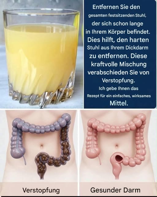 Erfrischende hausgemachte Limonade: Das perfekte Zitrusgetränk für jeden Anlass