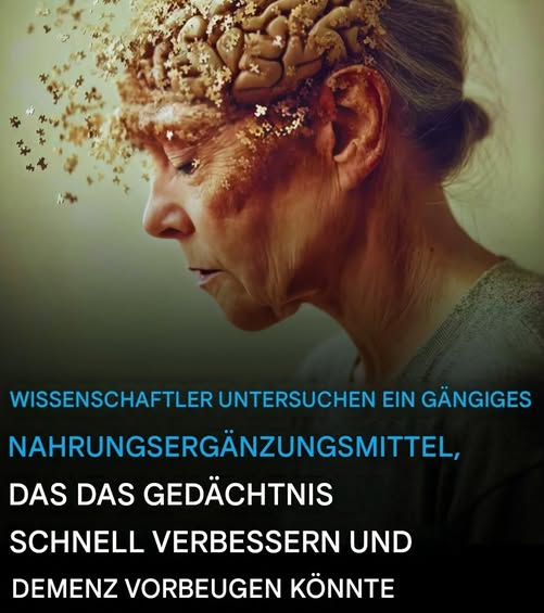 Wissenschaftler untersuchen ein gängiges Nahrungsergänzungsmittel, das möglicherweise das Gedächtnis schnell verbessert und Demenz vorbeugt.