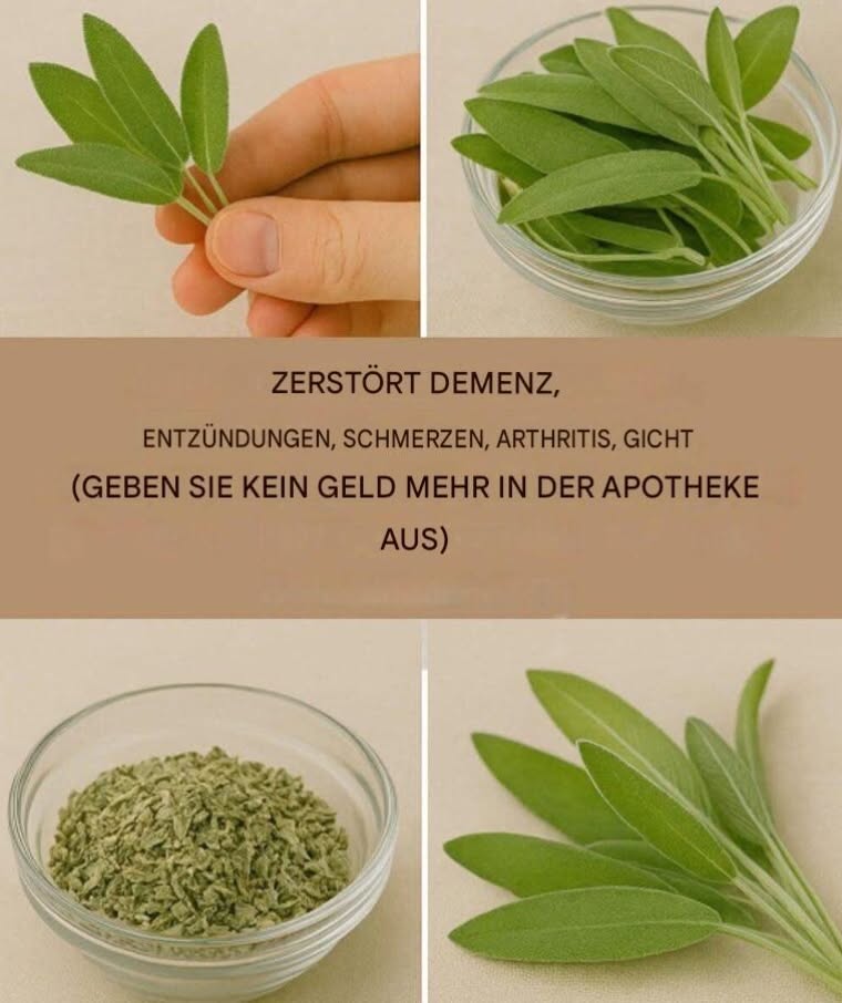 Ein natürliches Wundermittel für die Gehirngesundheit, Entzündungen und Gelenkschmerzen