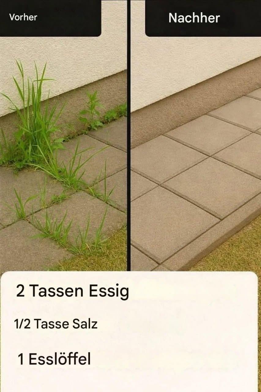Wie man ein hochwirksames, selbstgemachtes Herbizid herstellt