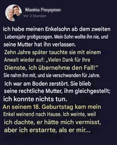 Eine Großmutter zog ihren Enkel wie ihren eigenen Sohn auf, bevor er ihr weggenommen wurde. Jahre später klopfte jemand an ihre Tür und veränderte