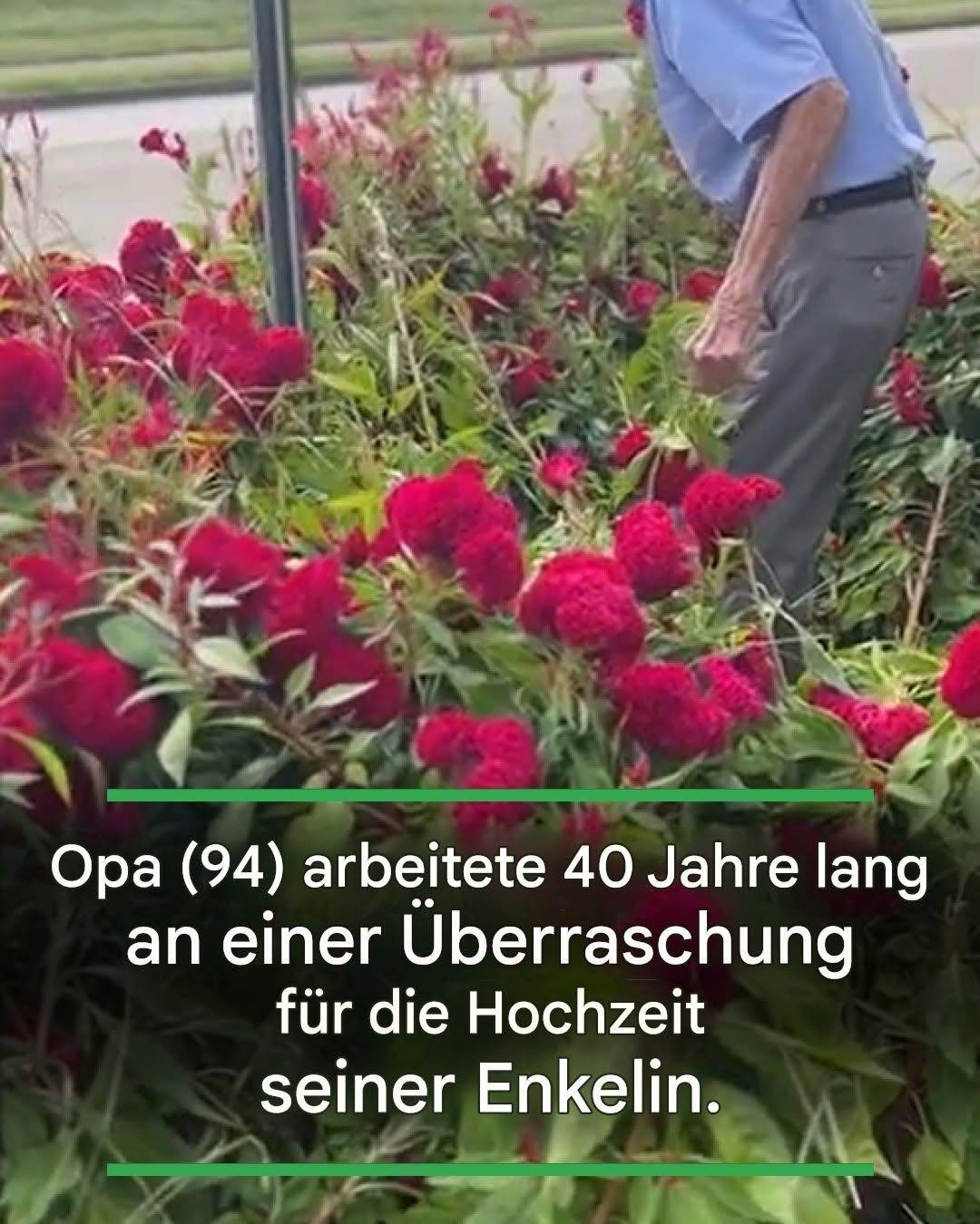 Opa (94) arbeitete 40 Jahre lang an einer Überraschung für die Hochzeit seiner Enkelin.