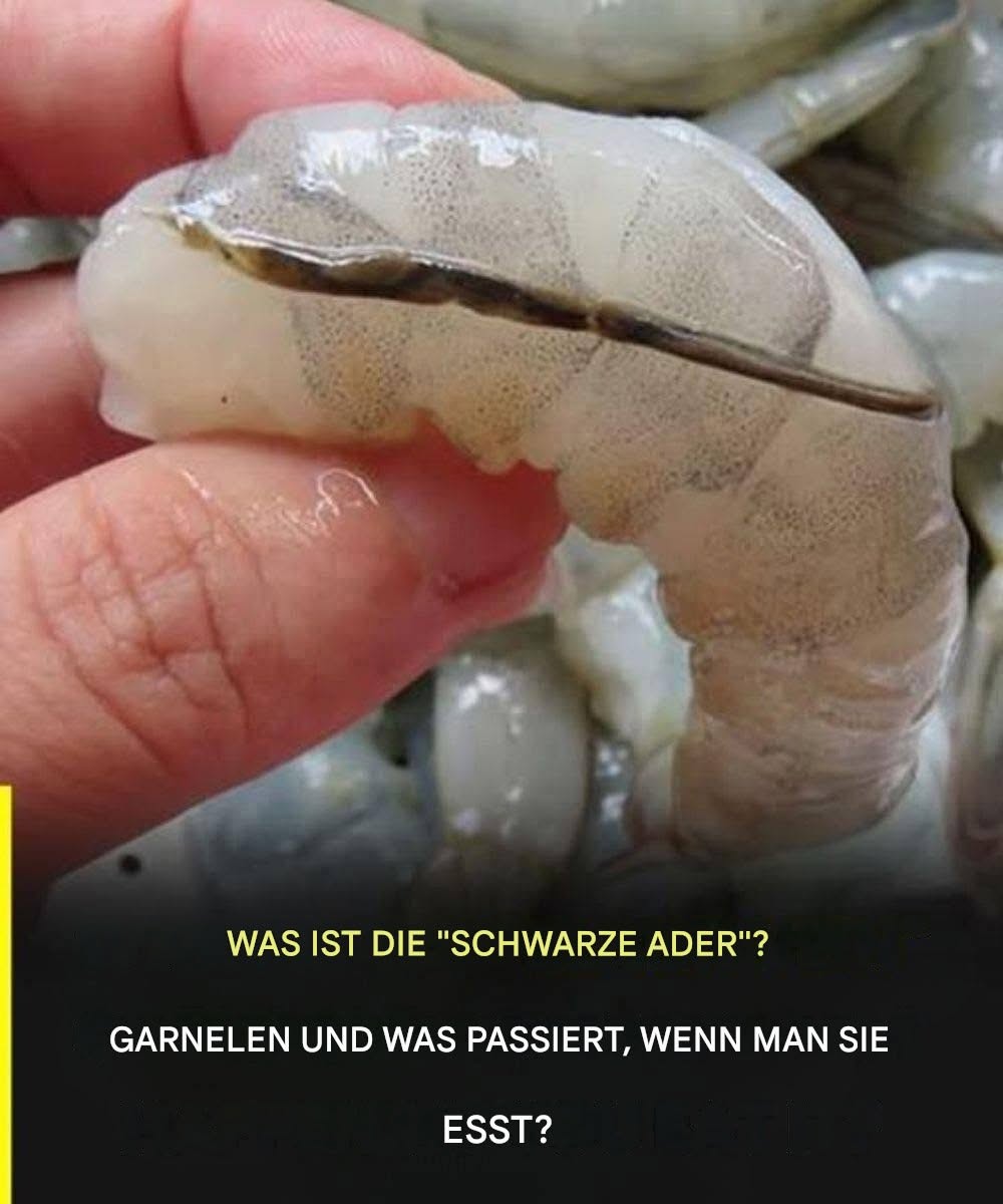 Sollten alle Garnelen entfettet werden?