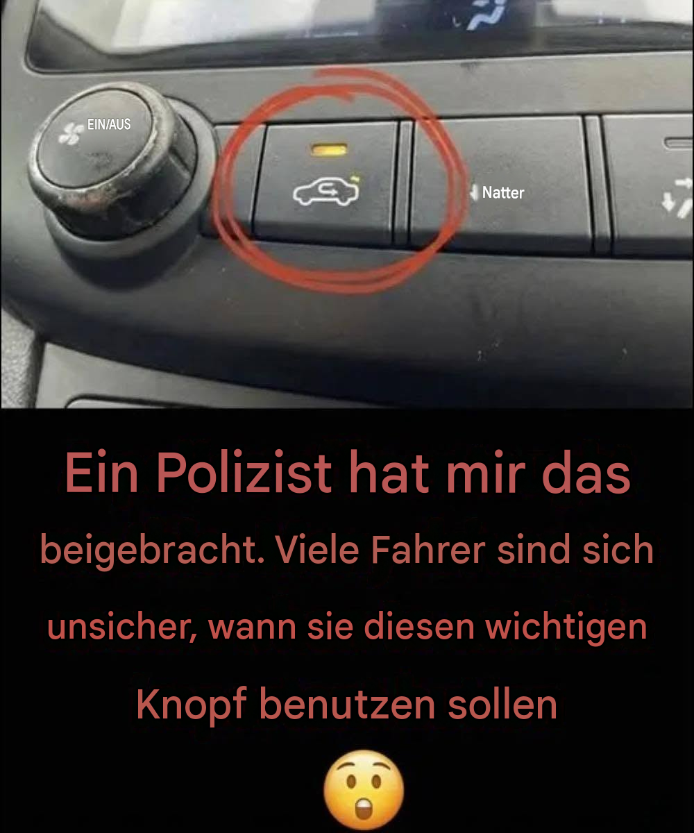 Was die Umlufttaste für Ihr Fahrerlebnis bedeutet