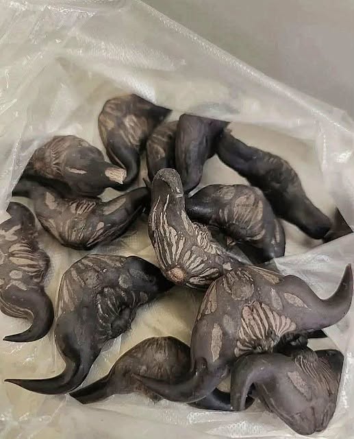 Meine Nachbarin hat mir so eine Tüte geschenkt. Weiß jemand, was das ist? Wie isst man das?  Voir moins