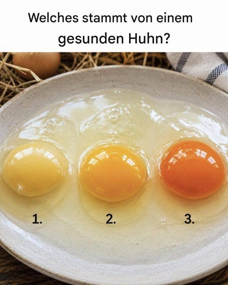 Das Eigelb, das mich sprachlos machte