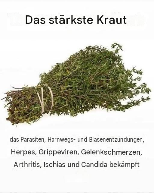 DAS WIRKSAMSTE KRÄUTER ZERSTÖRT PARASITEN, HARNWEGS- UND BLASENINFEKTIONEN, HERPES UND GRIPPEVIREN