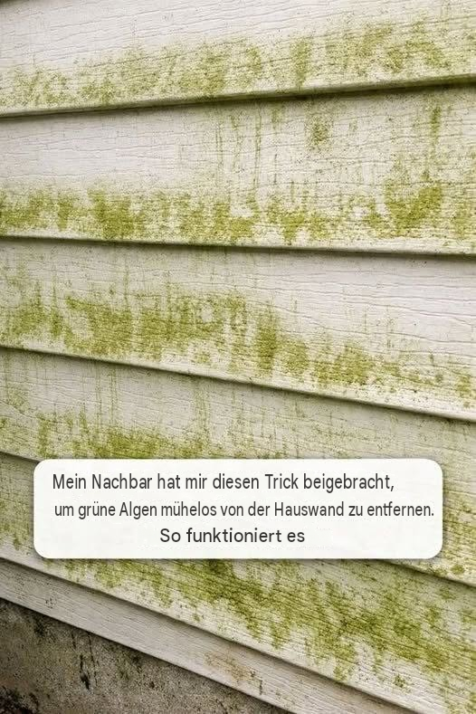 Mein Nachbar hat mir diesen Trick gezeigt, mit dem man ganz mühelos grüne Algen von der Hausfassade entfernen kann. So funktioniert’s