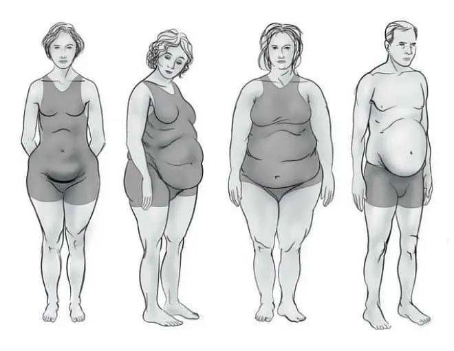 Wie verrät Ihre Körperform über Ihre hormonellen Ungleichgewichte?
