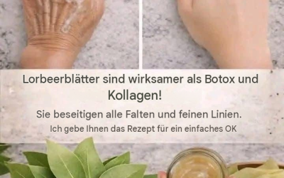 Lorbeerblätter für die Hautpflege