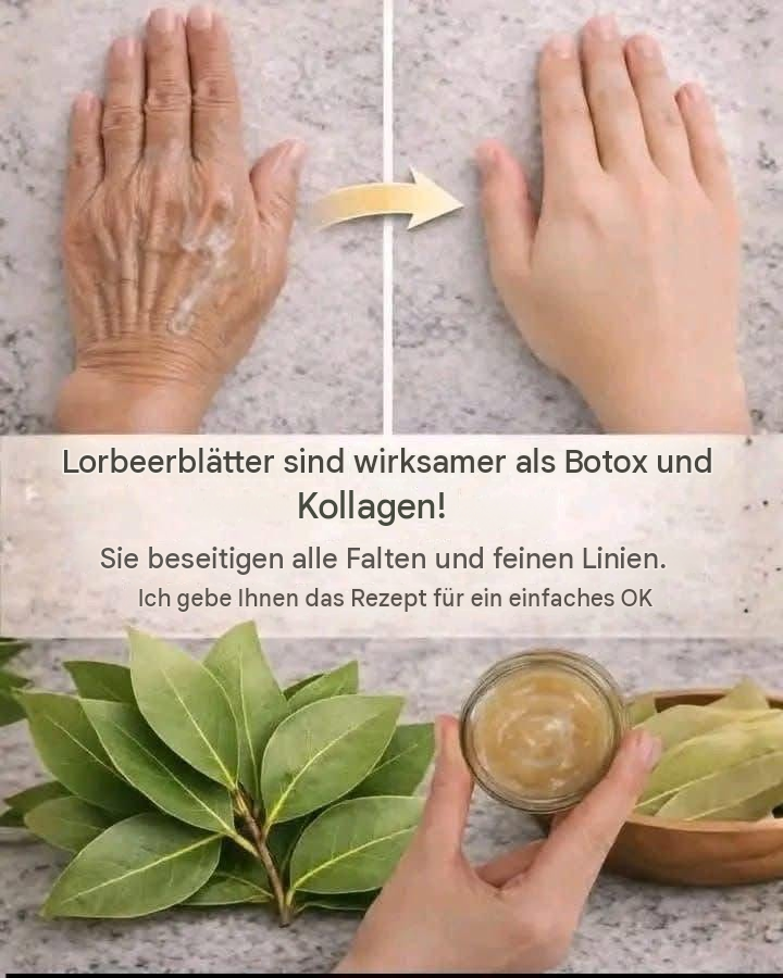 Lorbeerblätter für die Hautpflege