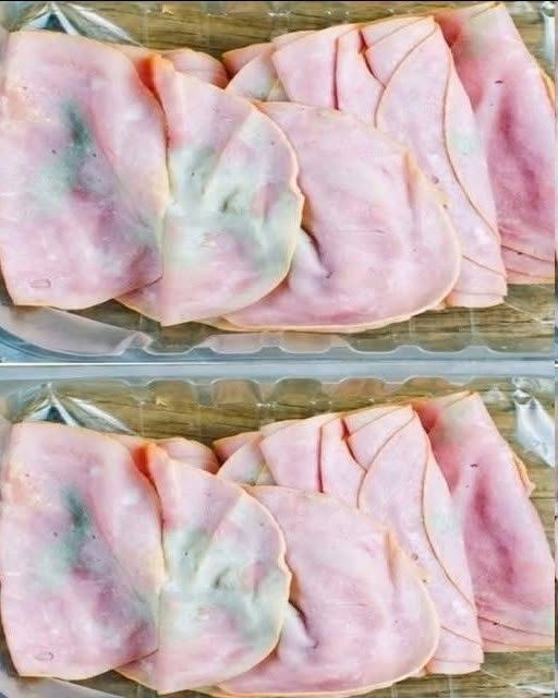 Ich habe Aufschnitt aus dem Kühlschrank genommen. Meine Schwiegermutter meint, es sei Verschwendung, ihn nicht zu verwenden, aber er sieht für mich verdorben aus. Was soll ich tun?